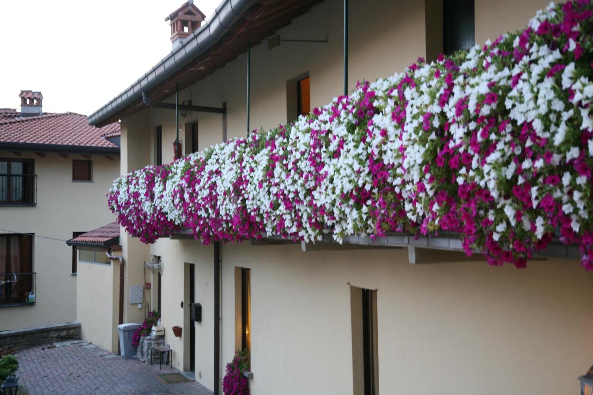 Locanda Dell'Oca Bianca Como Luaran gambar